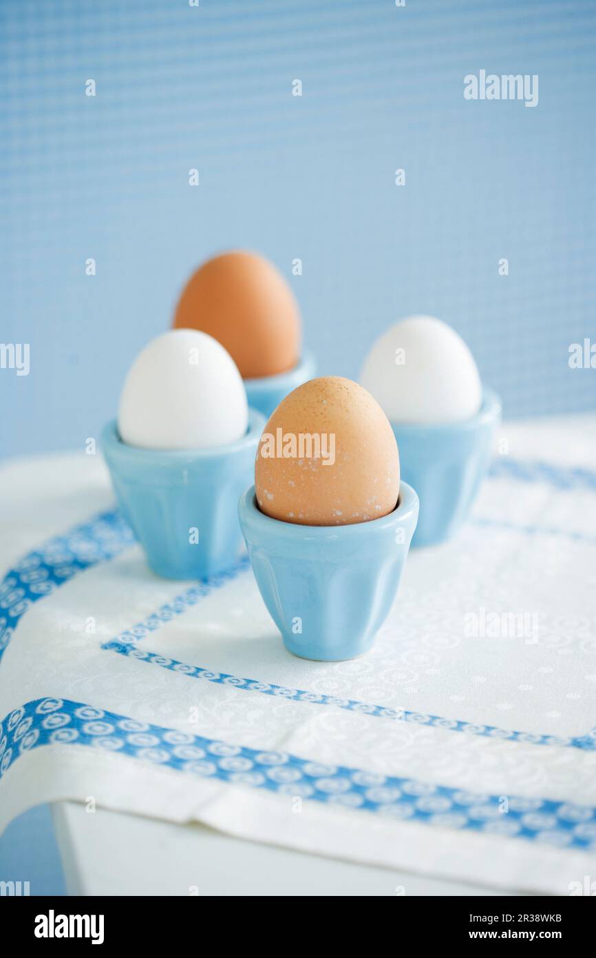 Four eggs in eggcups Stock Photo