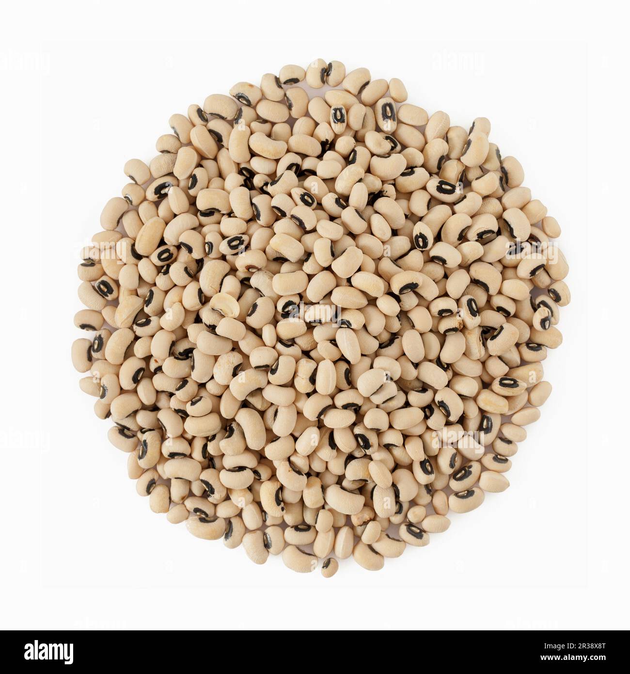 Dried blackeyed beans on white background Stock Photo Alamy