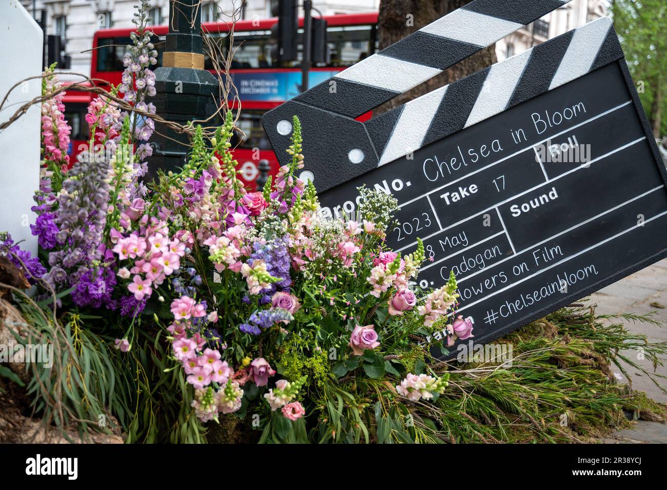 London, UK. 22nd May, 2023. Chelsea in Bloom, alternative to Chelsea Flower Show in nearby streets, London, UK Credit: Mary-Lu Bakker/Alamy Live News Credit: Mary-Lu Bakker/Alamy Live News Stock Photo