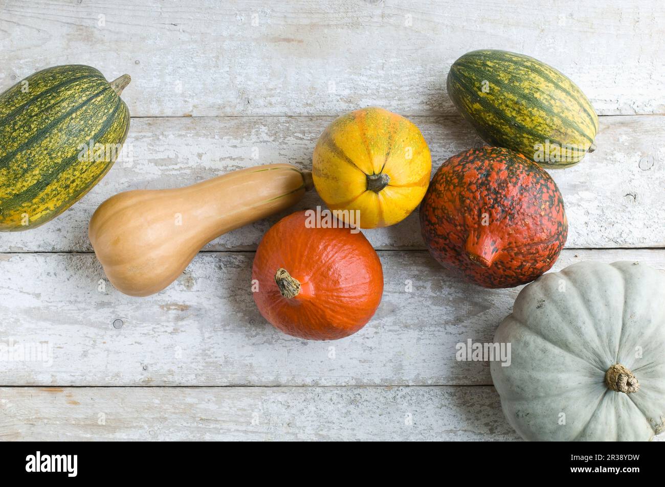 Various pumpkins on a white wooden background Stock Photo