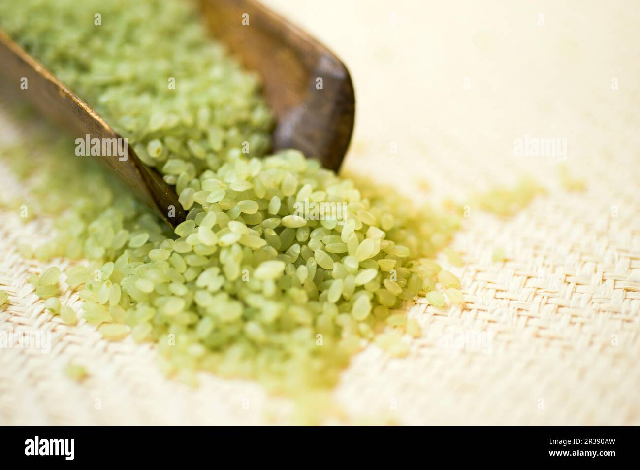 Blurred photo of bamboo hi-res stock photography and images - Alamy