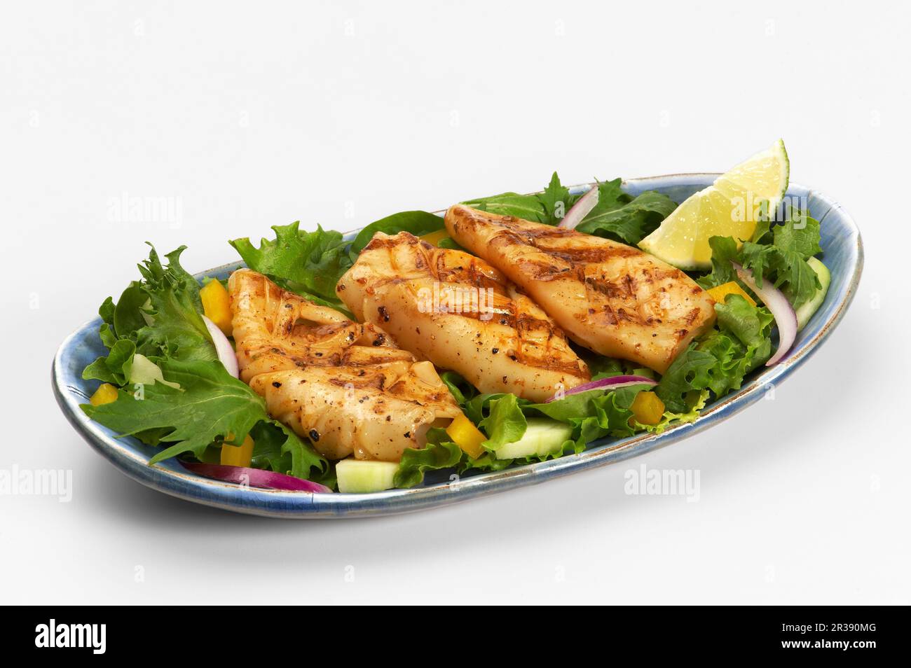 Grilled fish fillets on salad Stock Photo