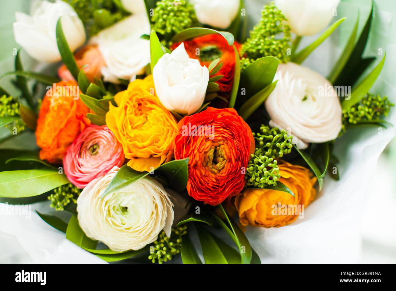 Bouquet of ranunculus of different shades close up Stock Photo