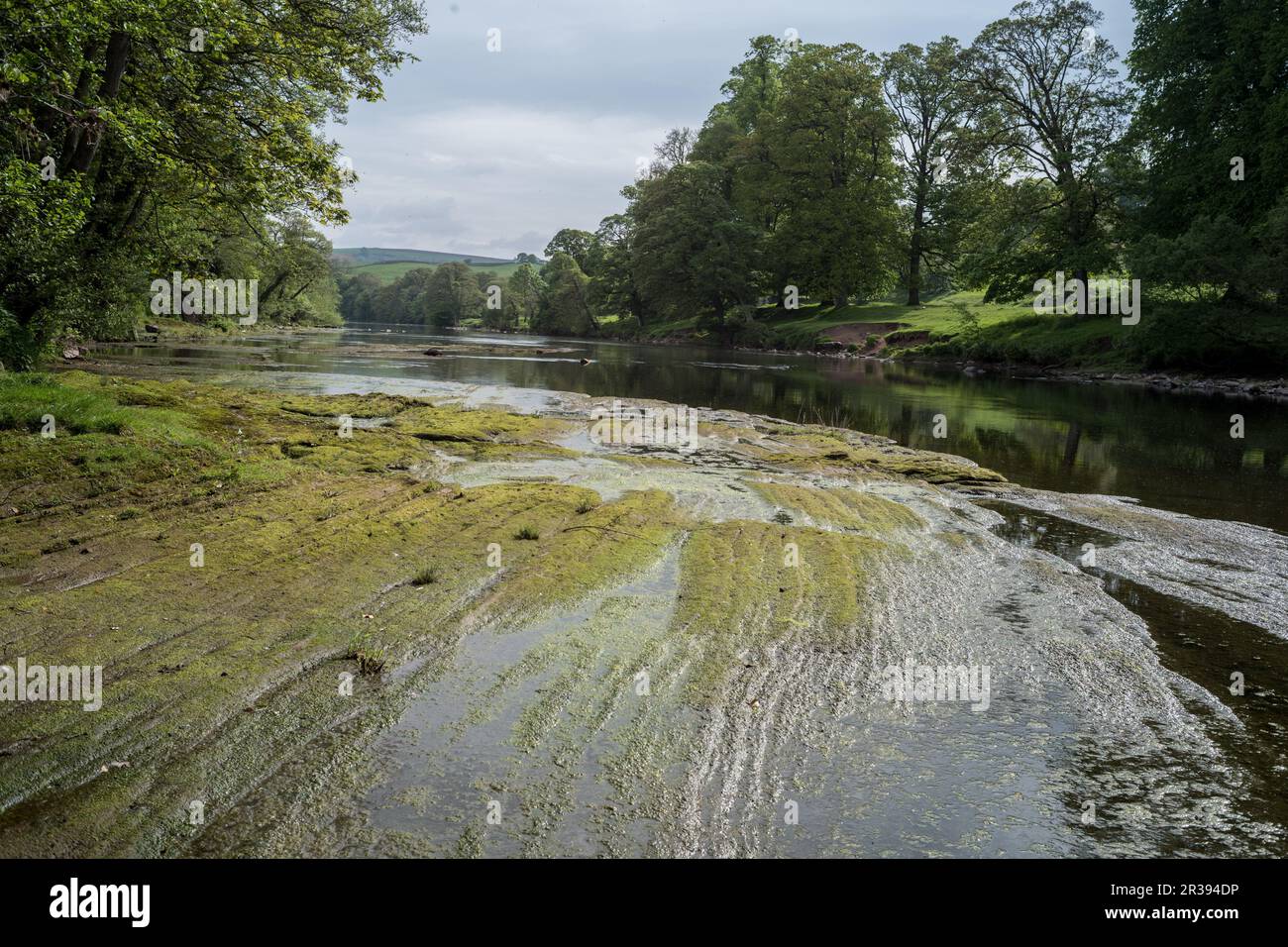 Low water in the river Eden at Armathwaite, Cumbria Stock Photo Alamy