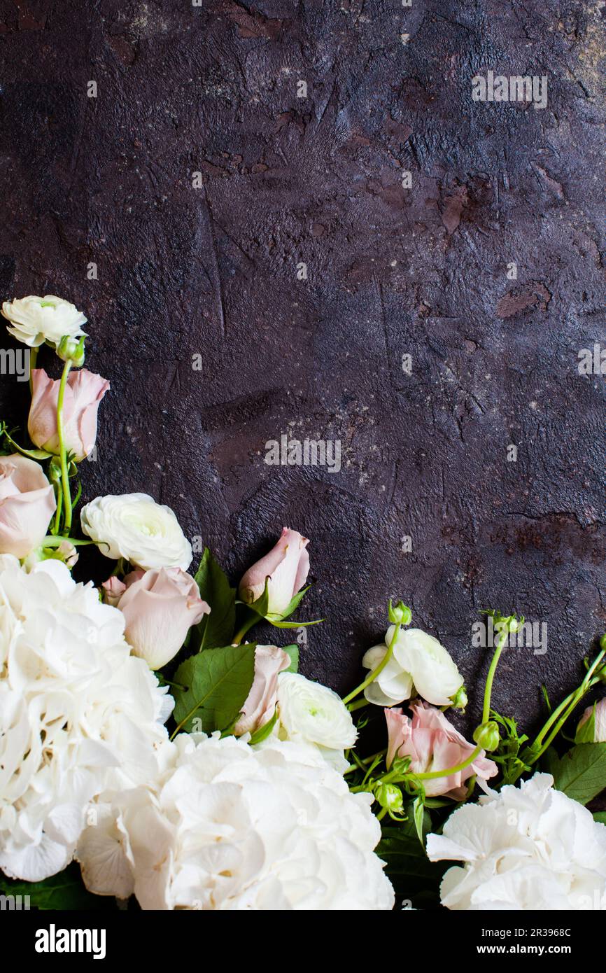 White flowers border on the brown textured background Stock Photo