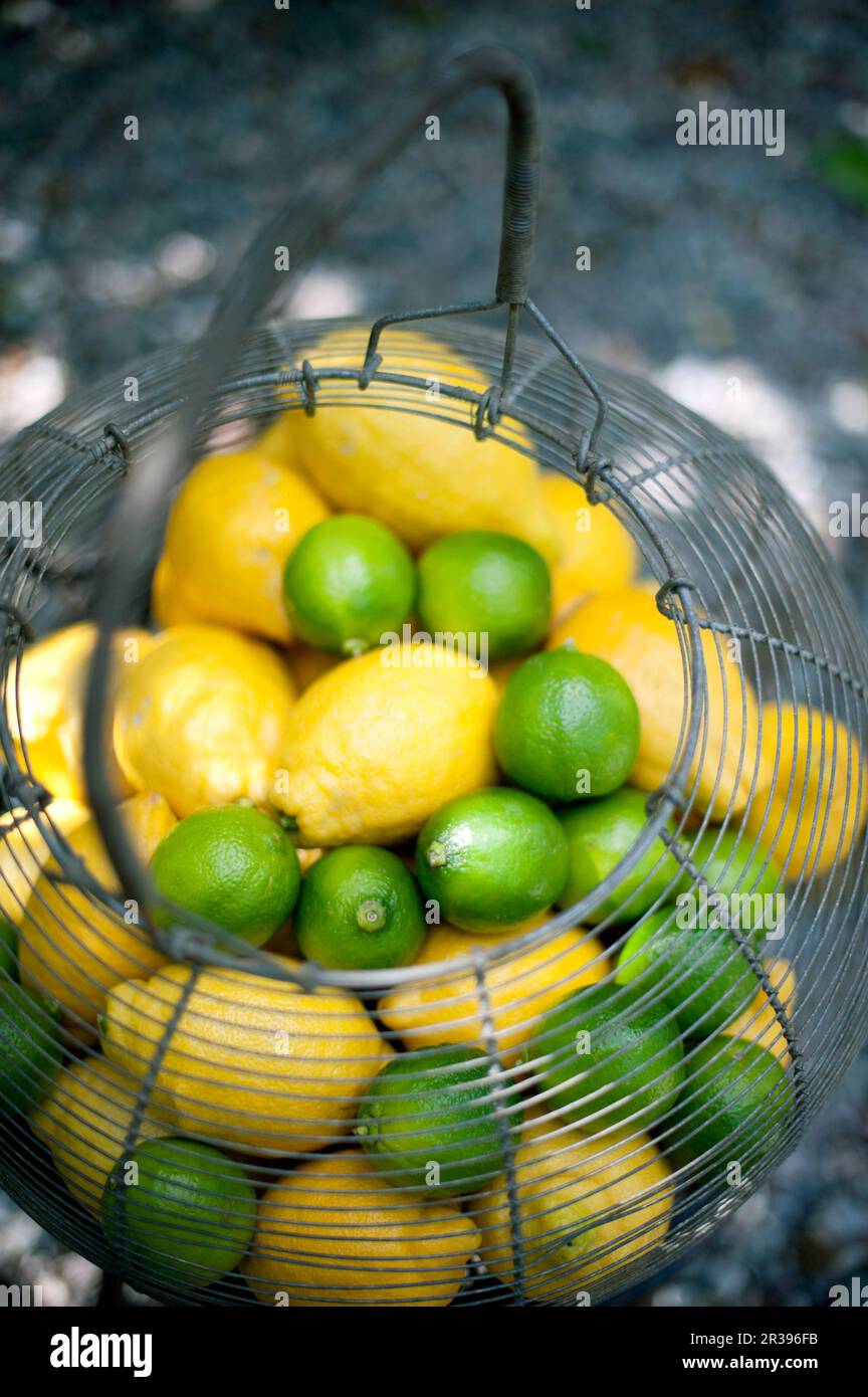 Lemons and limes in a wire basket Stock Photo - Alamy