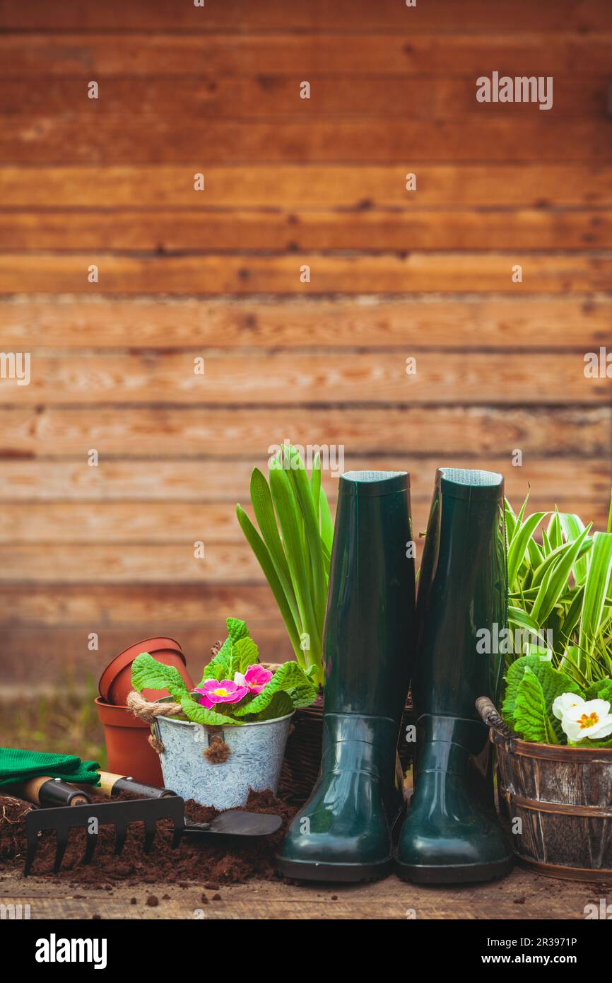 Gardening tools and flowers on the table in the garden Stock Photo