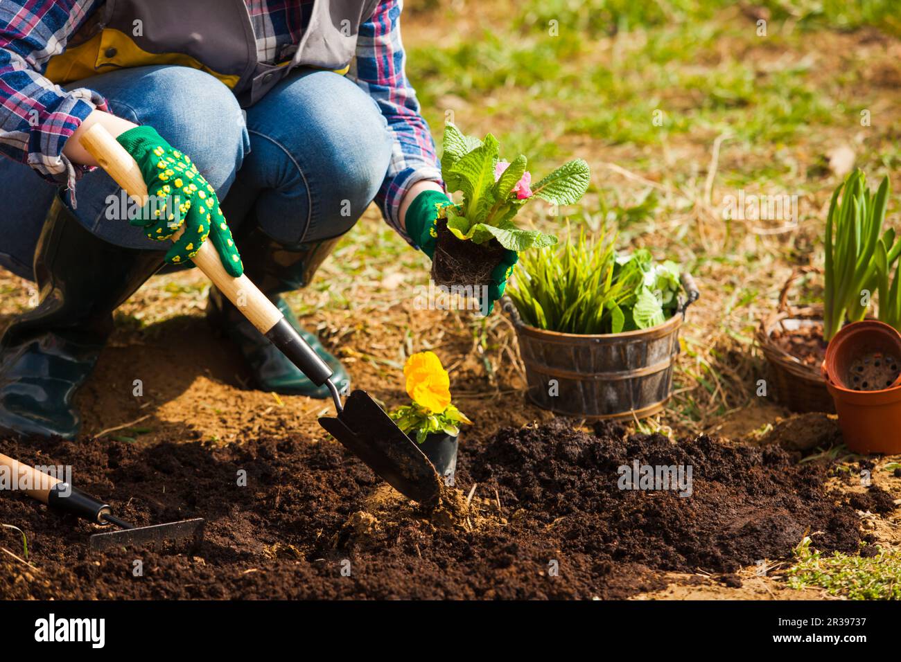 woman is digging the soil on flower bed. Worker is planting in green