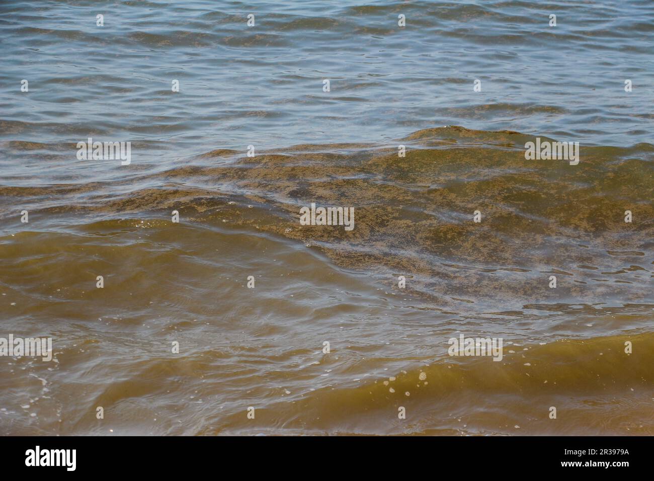 Water pollution in China Stock Photo