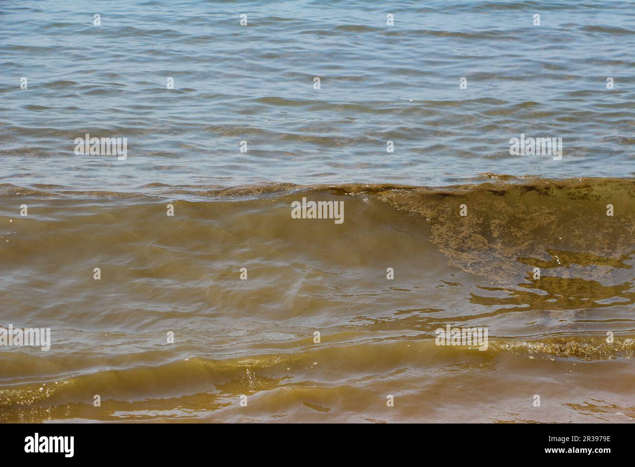 Water pollution in China Stock Photo