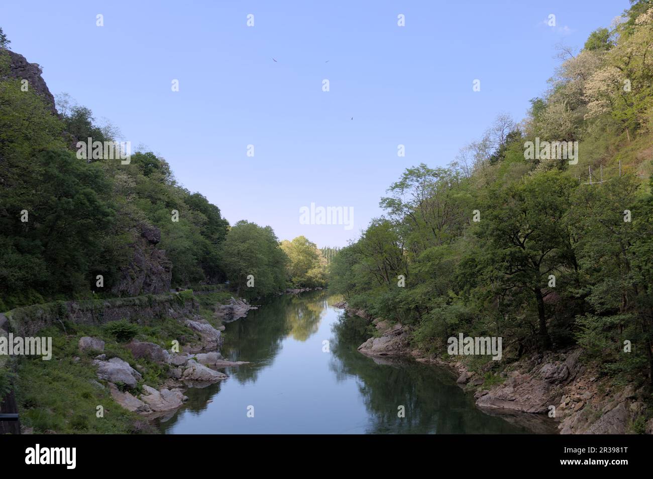 Basque Country Rivers Arbre river hi-res stock photography and images - Alamy