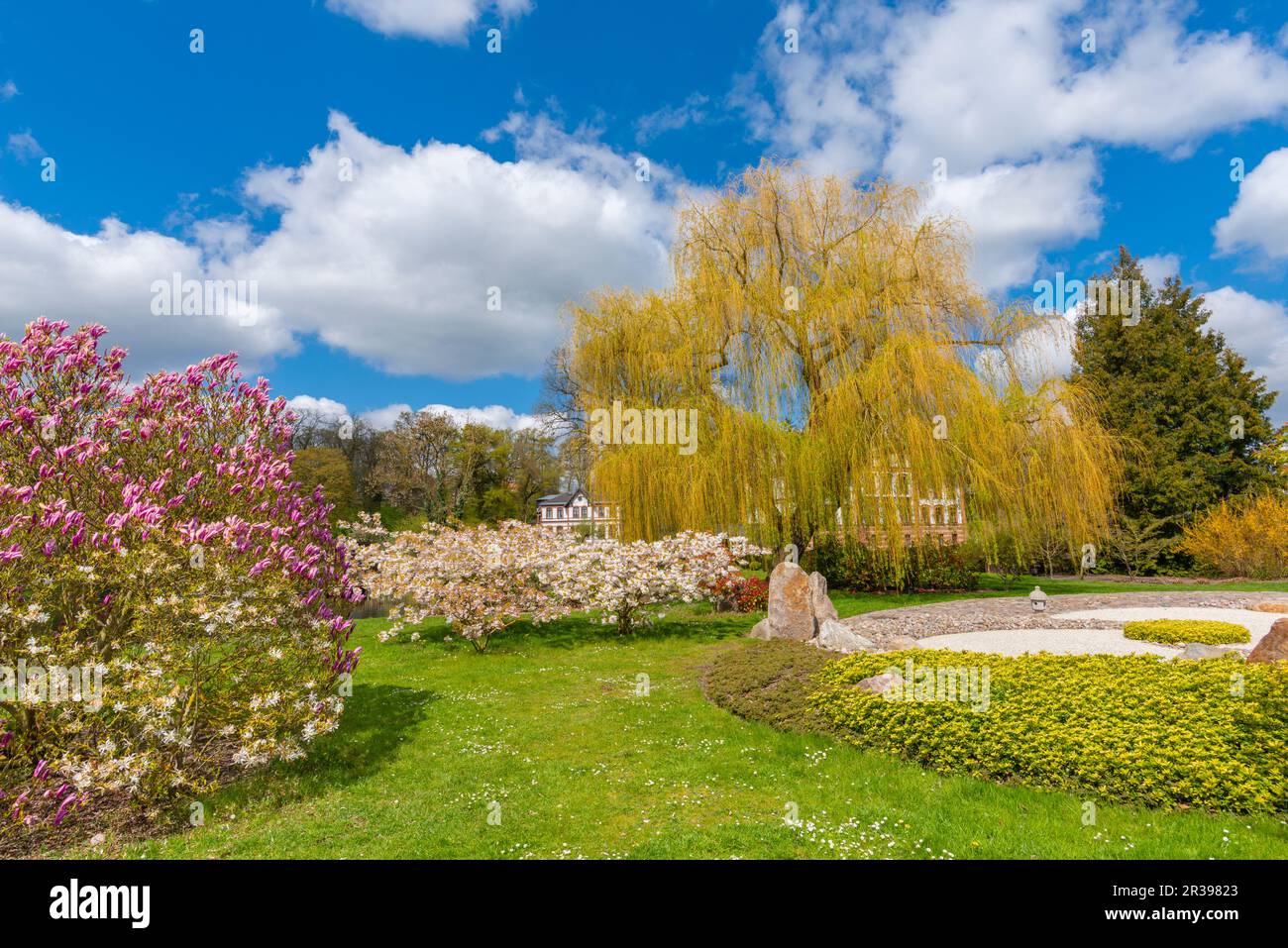 Public garden Schaugarten, country town Waren, Mueritz, Mecklemburgische Seenplatte, Mecklenburg-West  Pomerania, East Deutschland, Europe Stock Photo