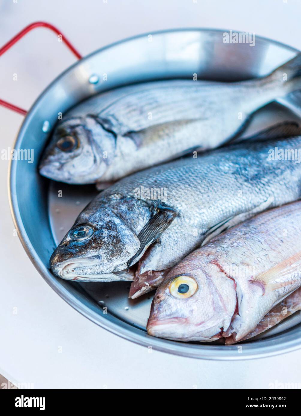 Pan fresco hi-res stock photography and images - Alamy