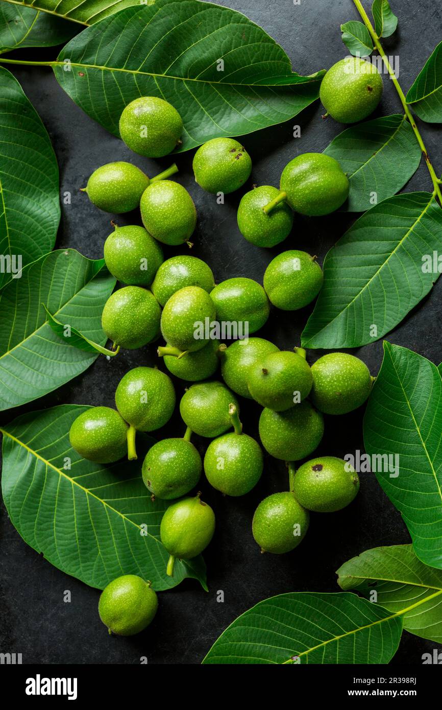 Green walnuts and walnut leaves on a black surface Stock Photo