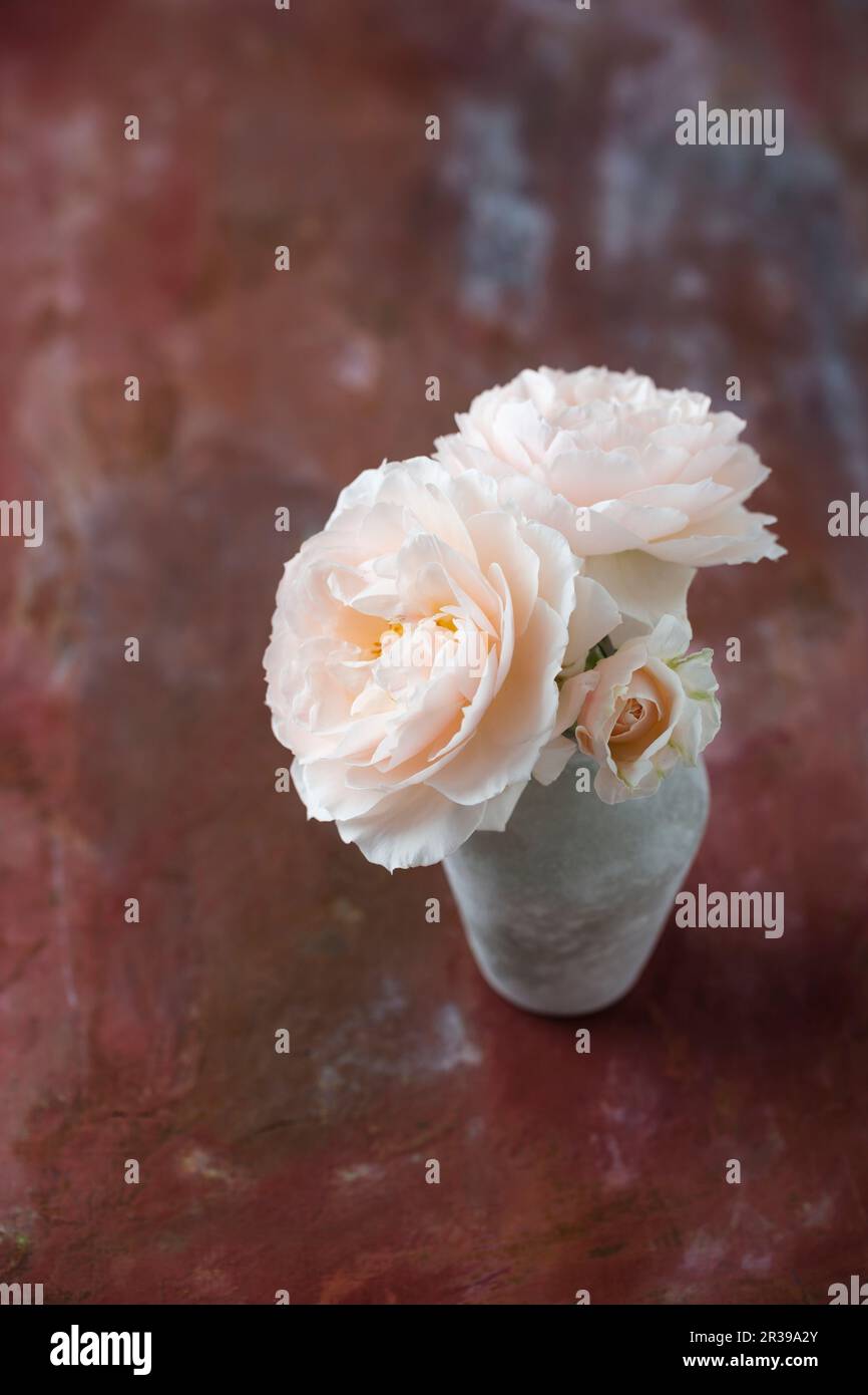Pinky stone hi-res stock photography and images - Alamy