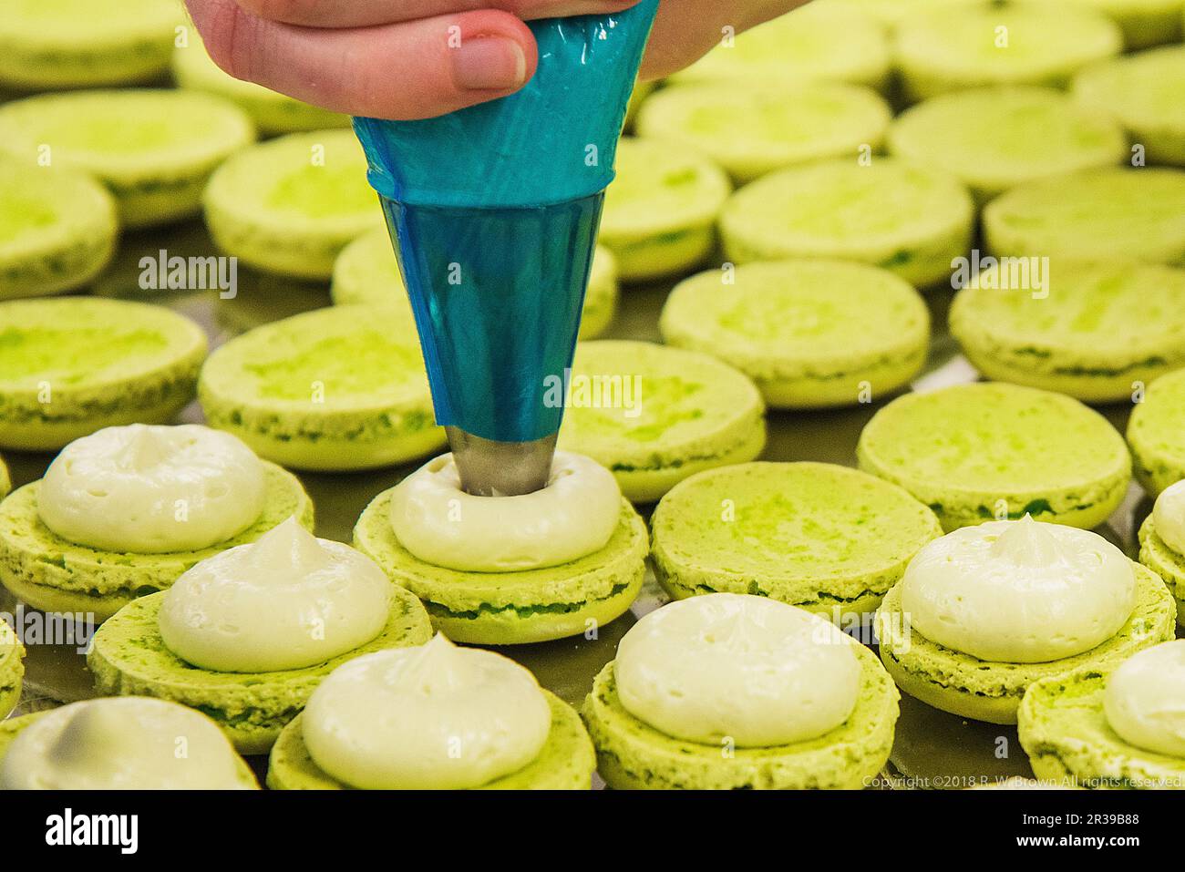 Pistachio macarons filled with cream Stock Photo
