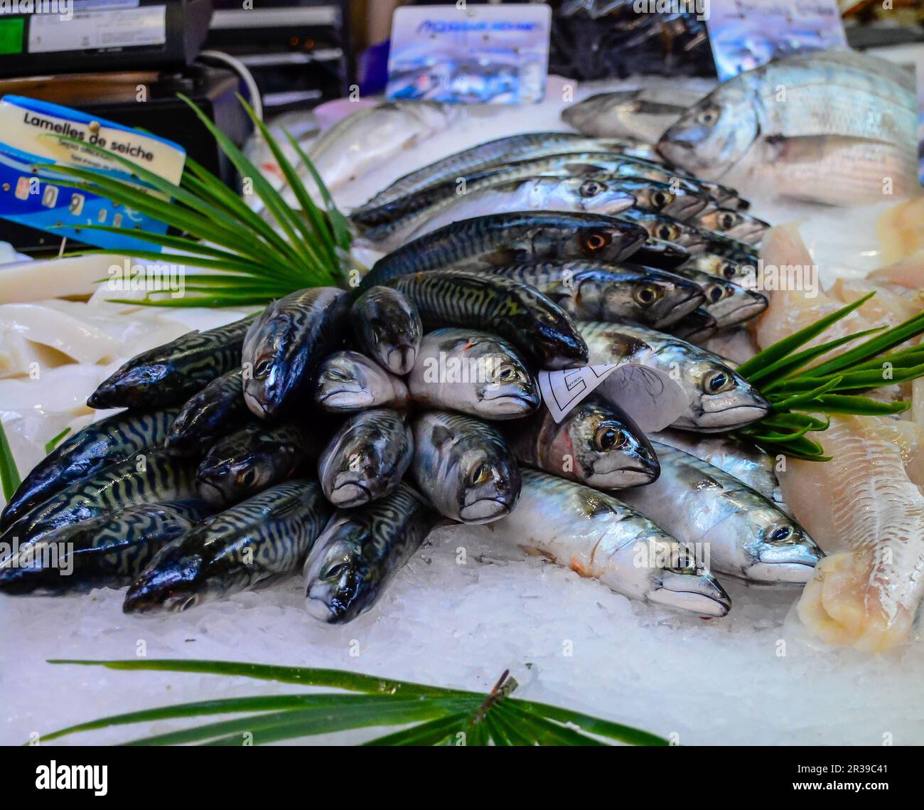 Market Stall Fish France Stock Photo - Alamy