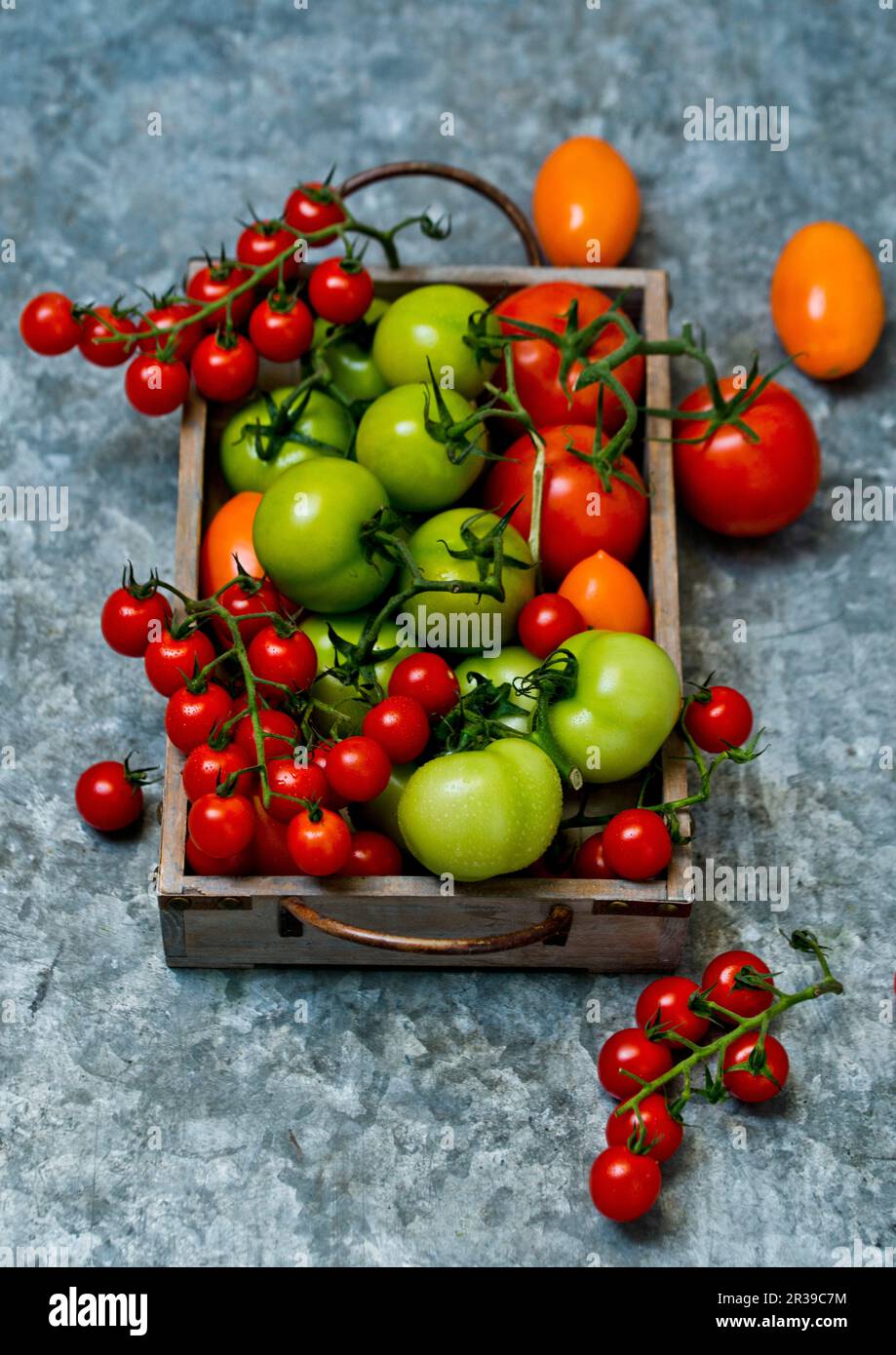 Fresh colorful tomatoes Stock Photo - Alamy