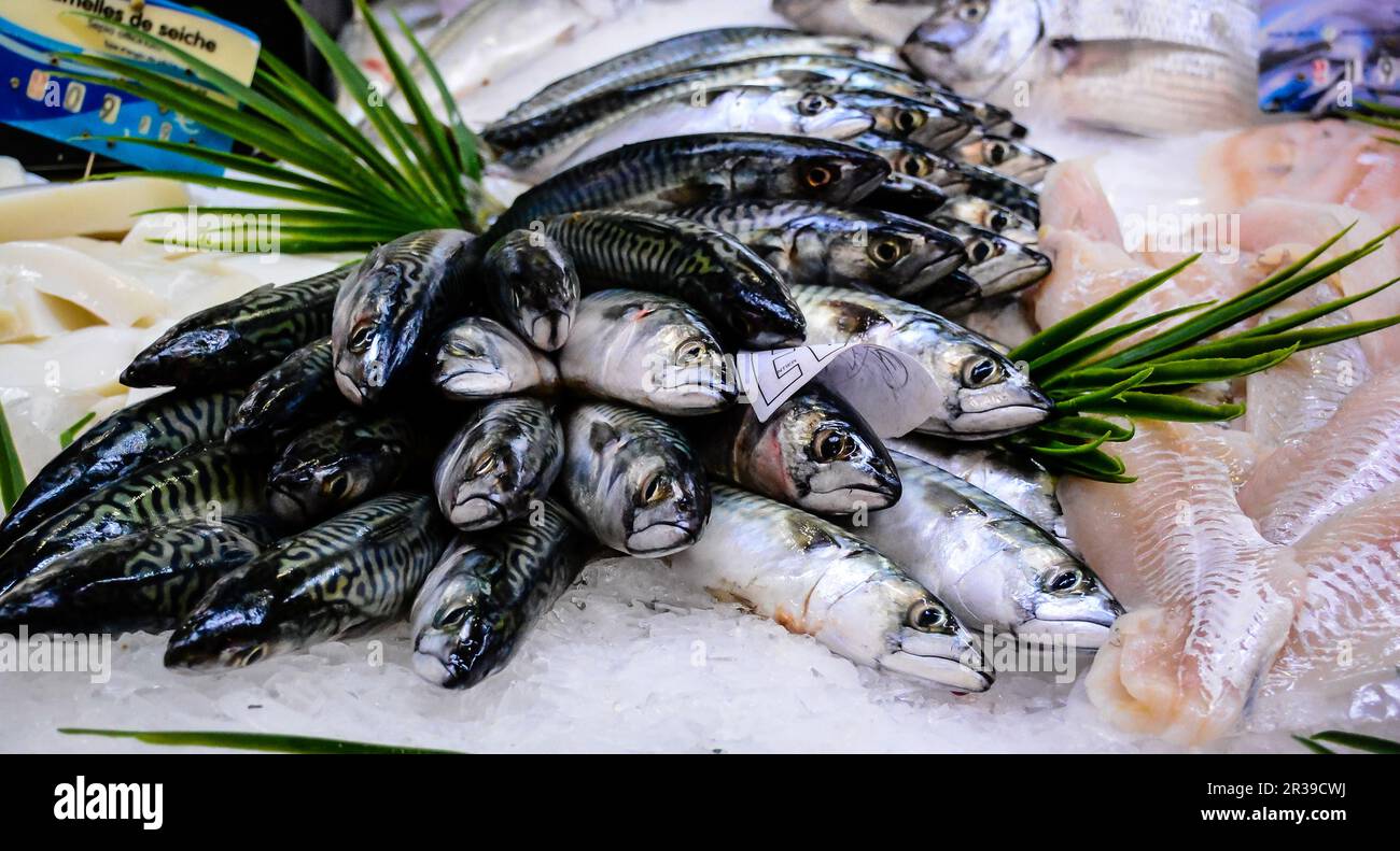 Market Stall Fish France Stock Photo