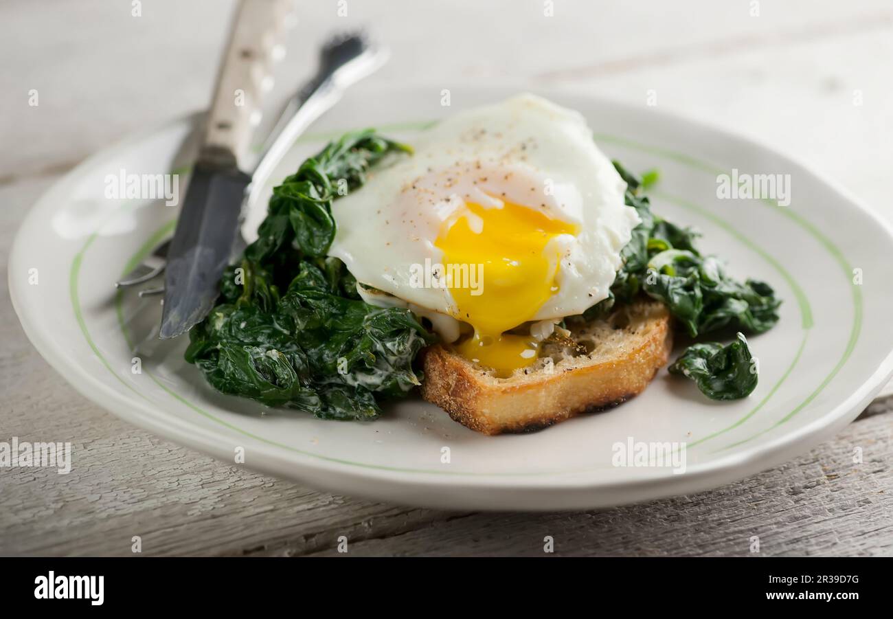 Eggs florentine with spinach Stock Photo Alamy