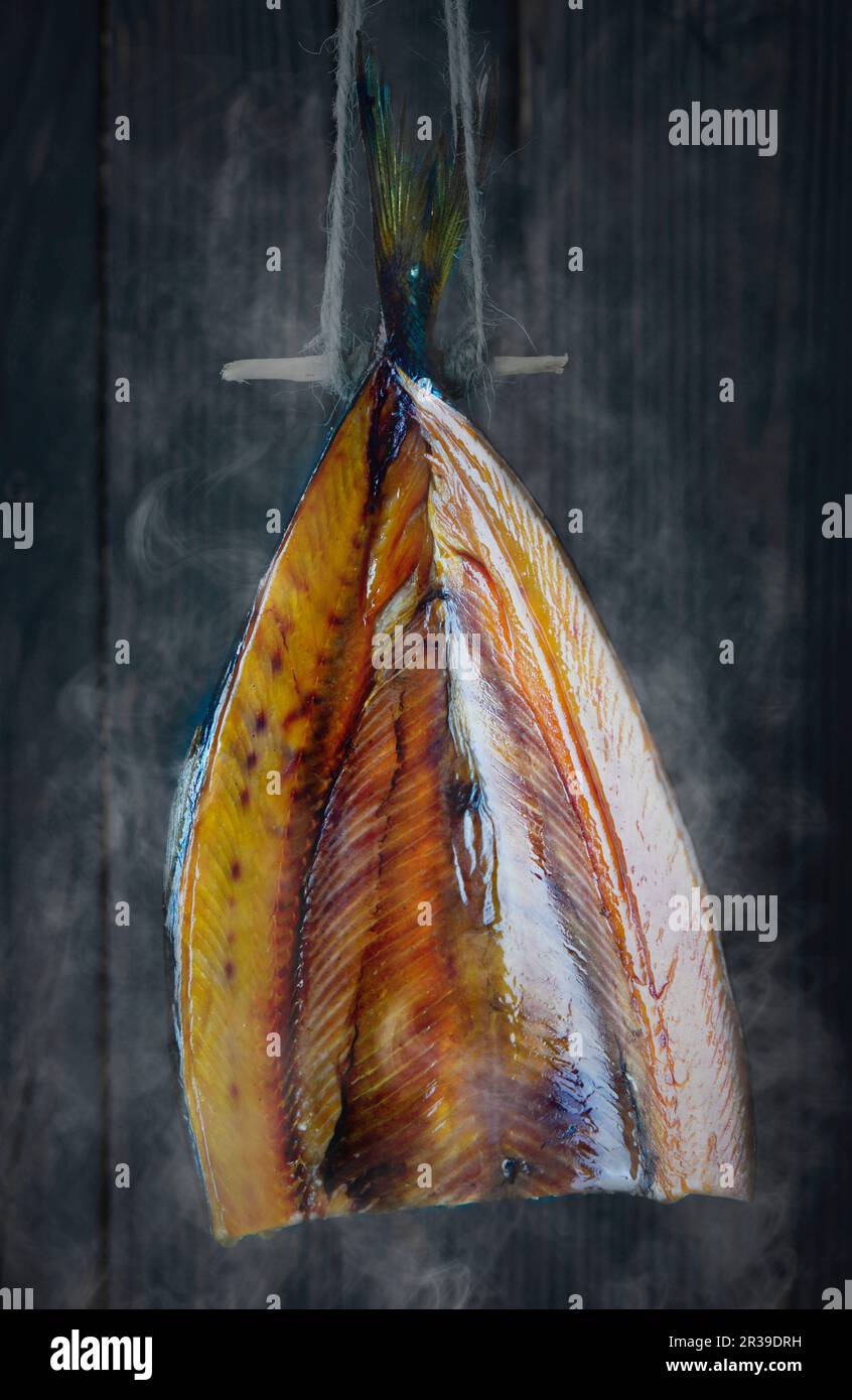 A kipper fish smoked herring being smoked in a smoker Stock Photo Alamy