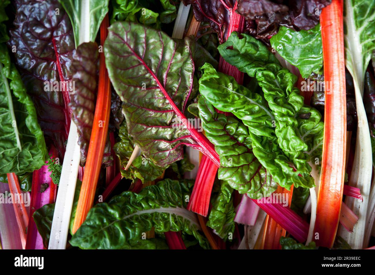Overhead shot chard leaves hi-res stock photography and images - Alamy