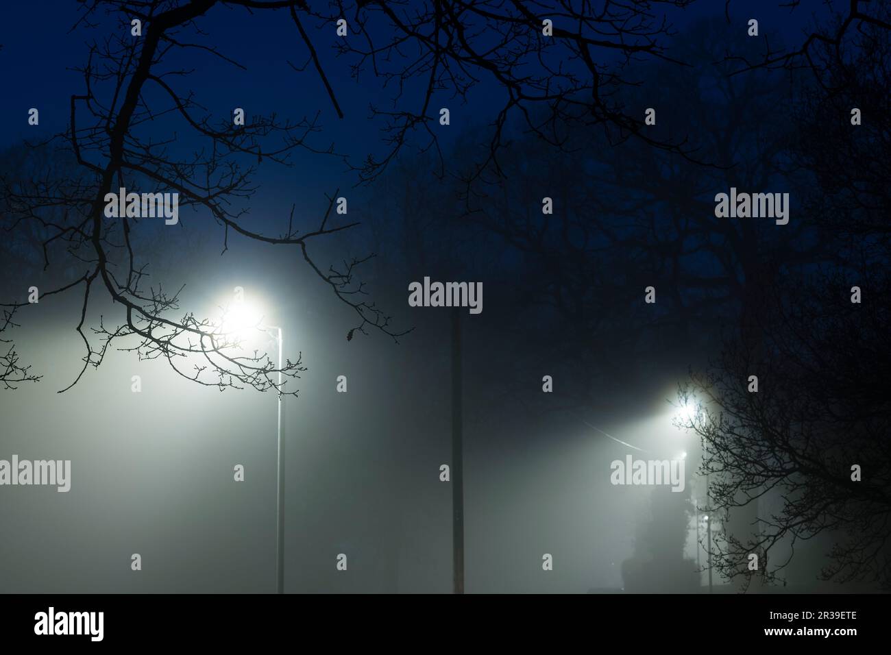 Heavy Fog at Night Stock Photo