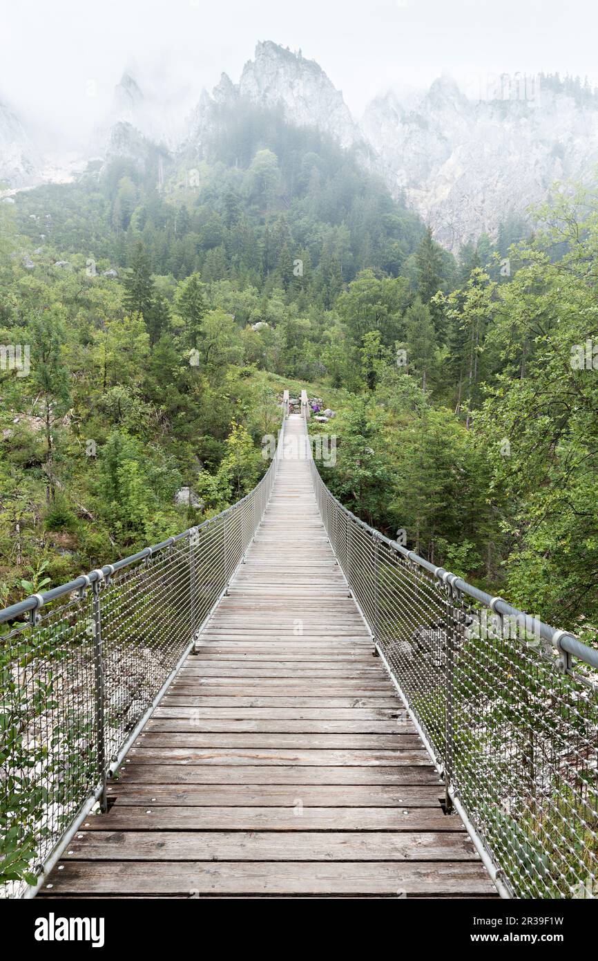 Suspension bridge near Hintersee Stock Photo