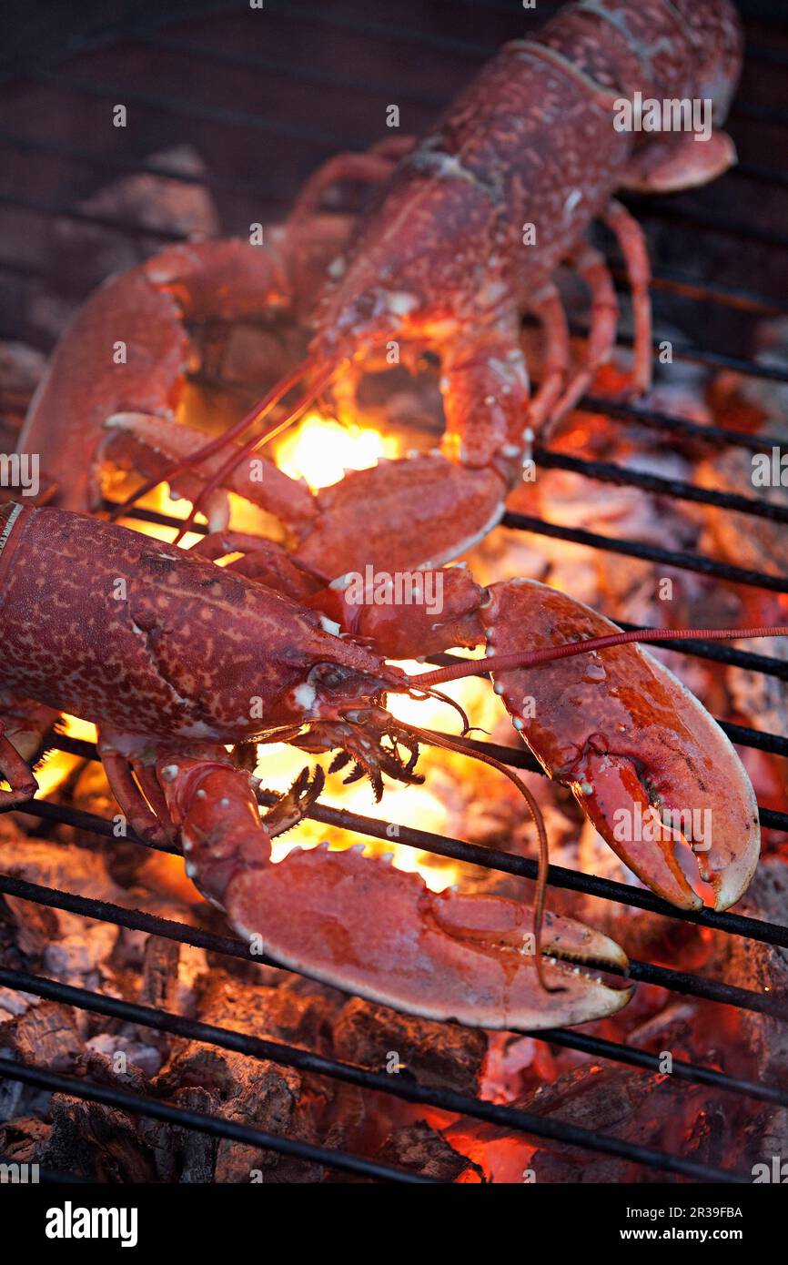 Lobster cooking on a BBQ Stock Photo Alamy
