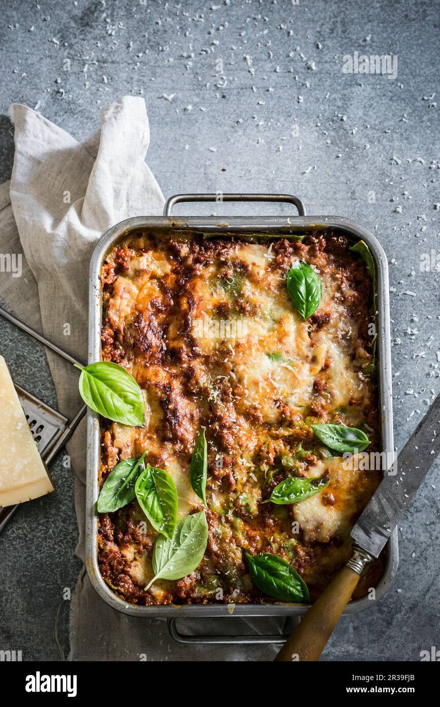 Lasagna Alla Bolognese Stock Photo - Alamy