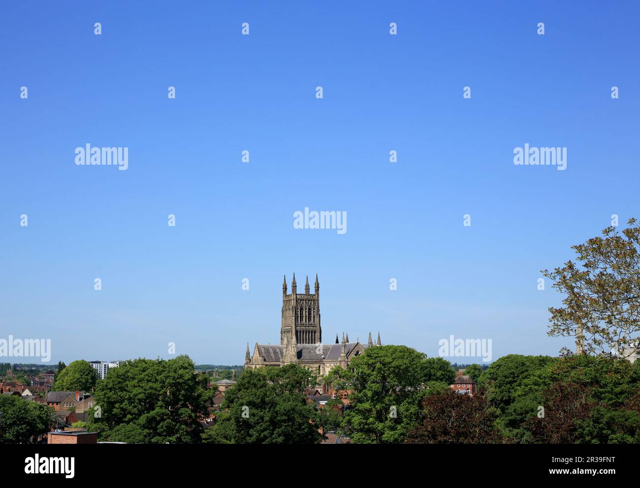 Worcester cathedral viewed from Fort Royal park, Worcester, uk. Stock Photo