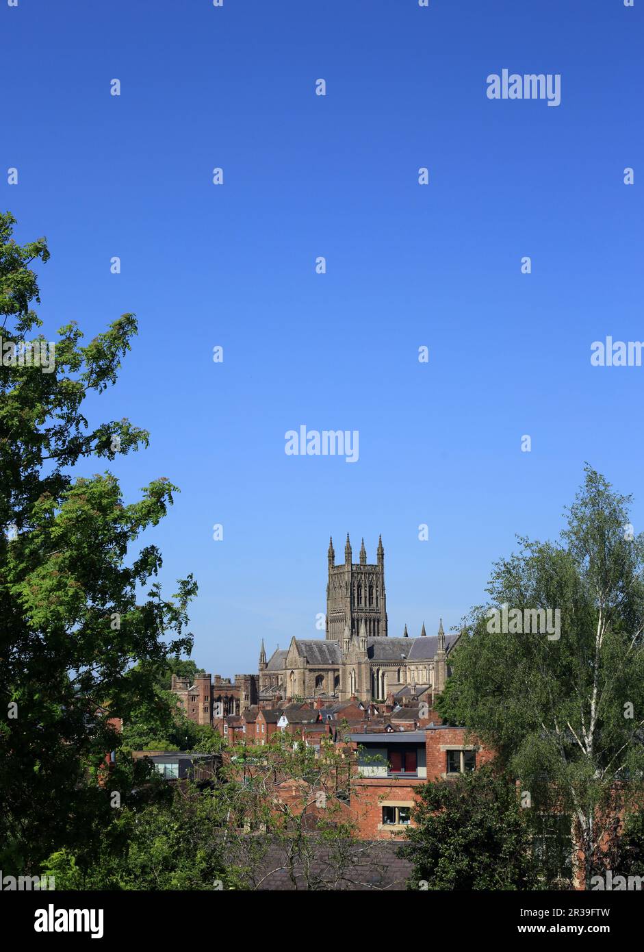 Worcester cathedral viewed from Fort Royal park, Worcester, uk. Stock Photo