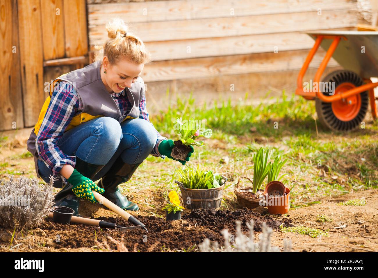 Cheerful blond woman planting flowers in garden Stock Photo