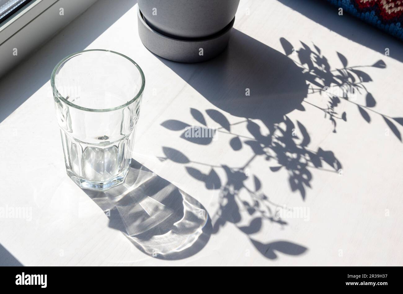 Shadows from an empty glass and leaves Stock Photo