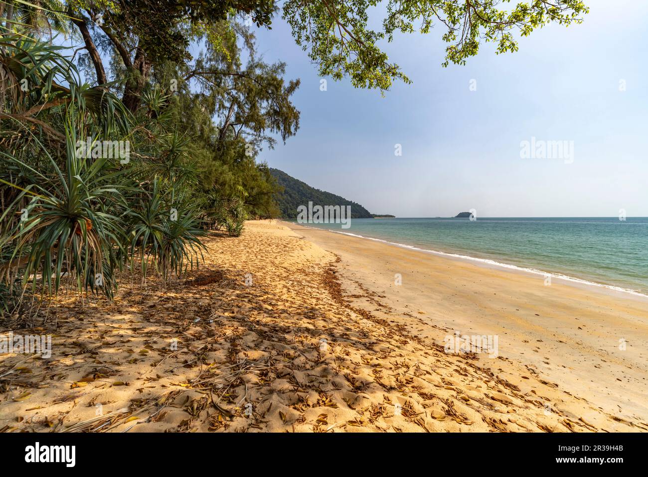 Tung Yaka Beach auf der Insel Koh Libong in der Andamanensee, Thailand, Asien   |  Tung Yaka Beach on Ko Libong, island in the Andaman Sea , Thailand, Stock Photo