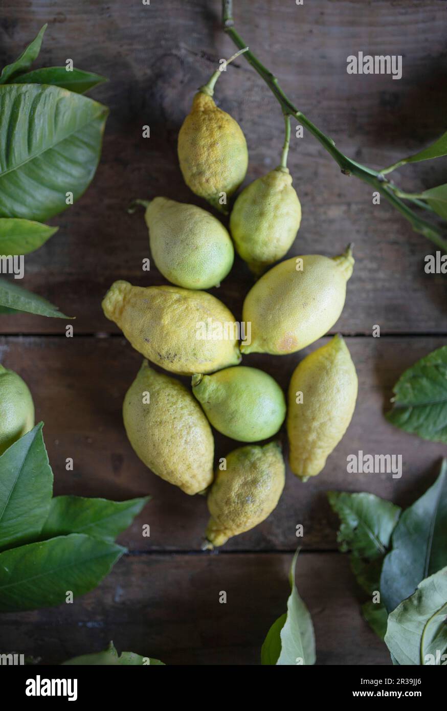 Organic lemons on a rustic wooden table Stock Photo