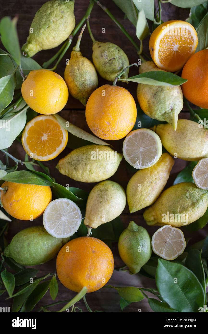 Full frame of various fruits hi-res stock photography and images - Alamy
