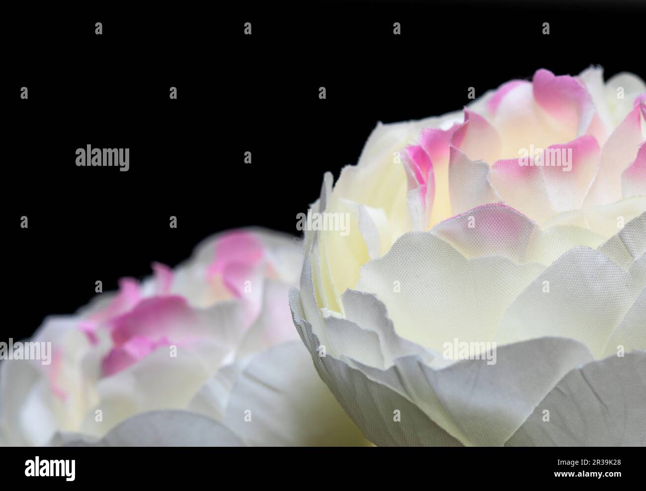Artificial white and pink flowers Stock Photo Alamy