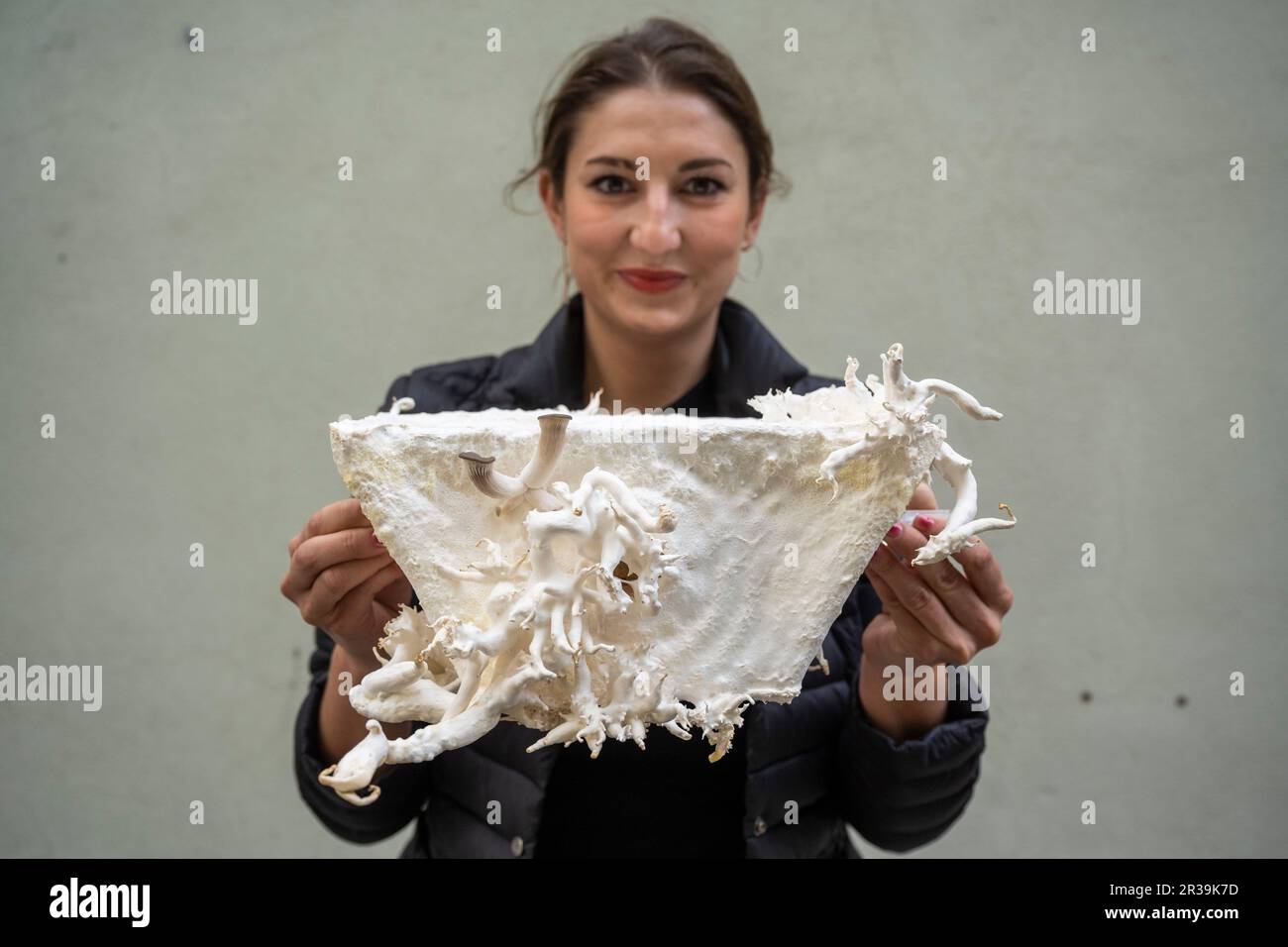 London, UK.  23 Mary 2023. A staff member with a building block from 'Symbiocene Living' by PLP Architecture, made from growing mycelium, in Clerkenwell as part of Clerkenwell Design Week which runs to 25 May.    Credit: Stephen Chung / Alamy Live News Stock Photo