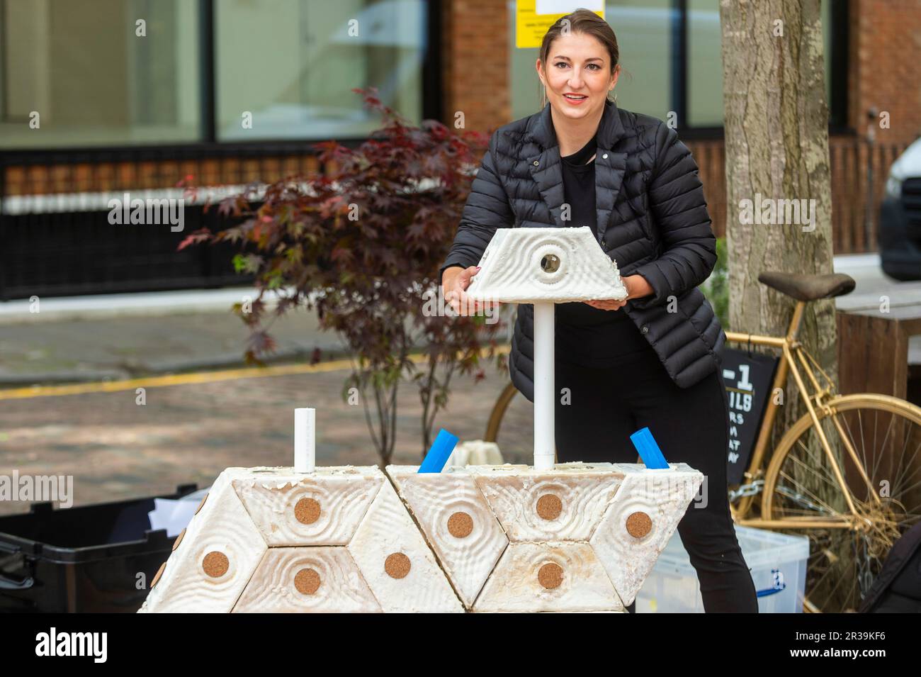 London, UK.  23 Mary 2023. A staff member assembles Symbiocene Living' by PLP Architecture, made from mycelium, in Clerkenwell as part of Clerkenwell Design Week which runs to 25 May.    Credit: Stephen Chung / Alamy Live News Stock Photo