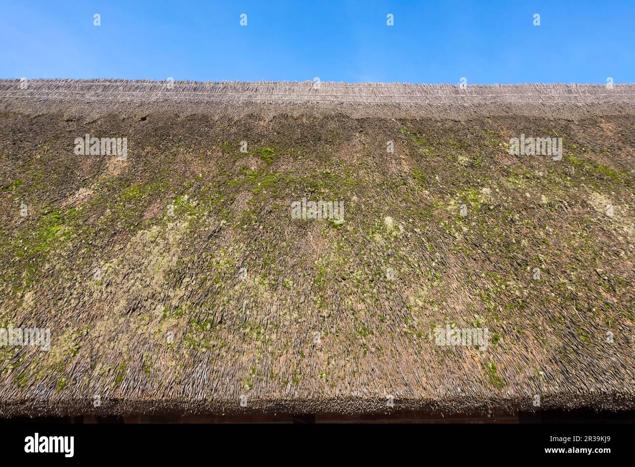 Thatched roof overgrown with moss Stock Photo