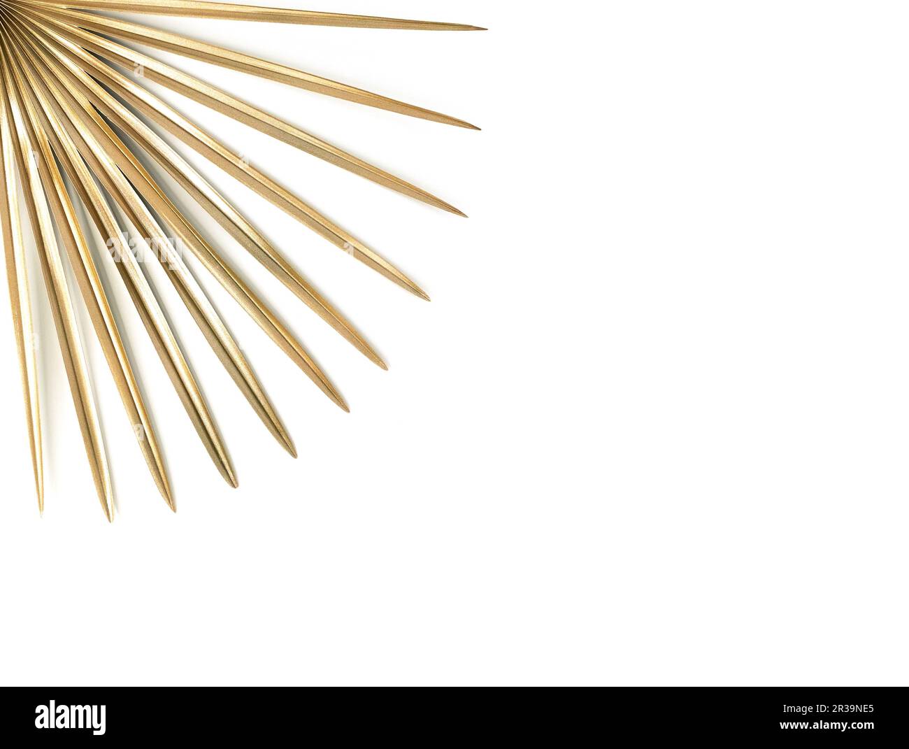 Golden palm leaf. Isolated on white. High quality photo Stock Photo - Alamy