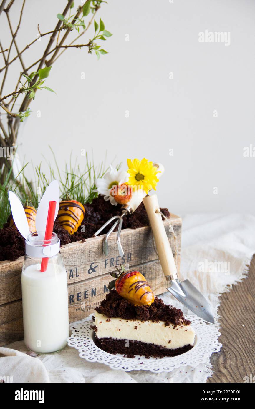 Easter cheesecake with a chocolate base and decorations Stock Photo