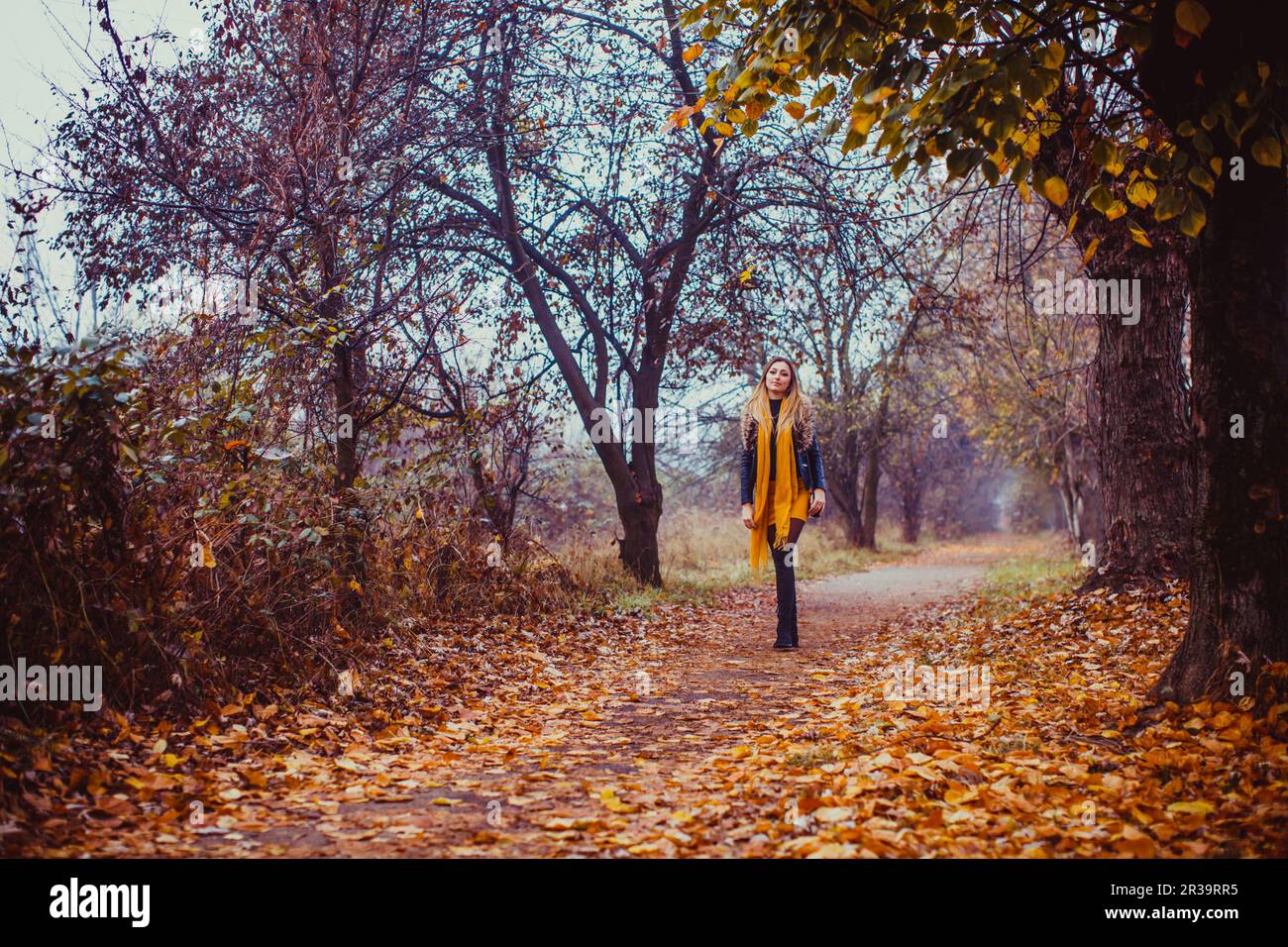 Woman walking in autumn park. Stylish girl wears black leather jacket, yellow dress and scarf outdoors. Stock Photo
