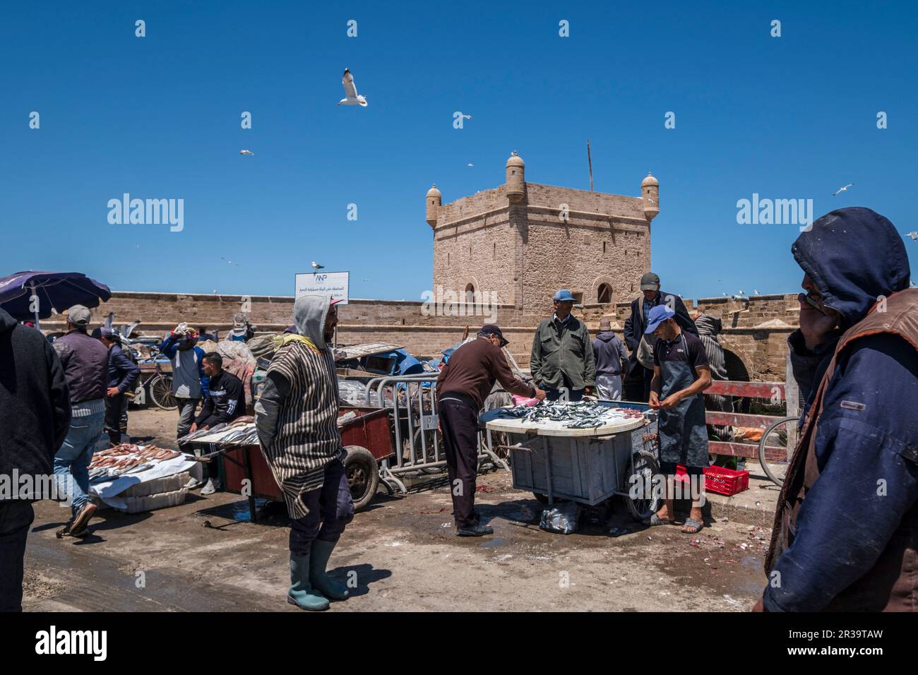 fresh fish market, fishing port, Essaouira, morocco, africa Stock Photo