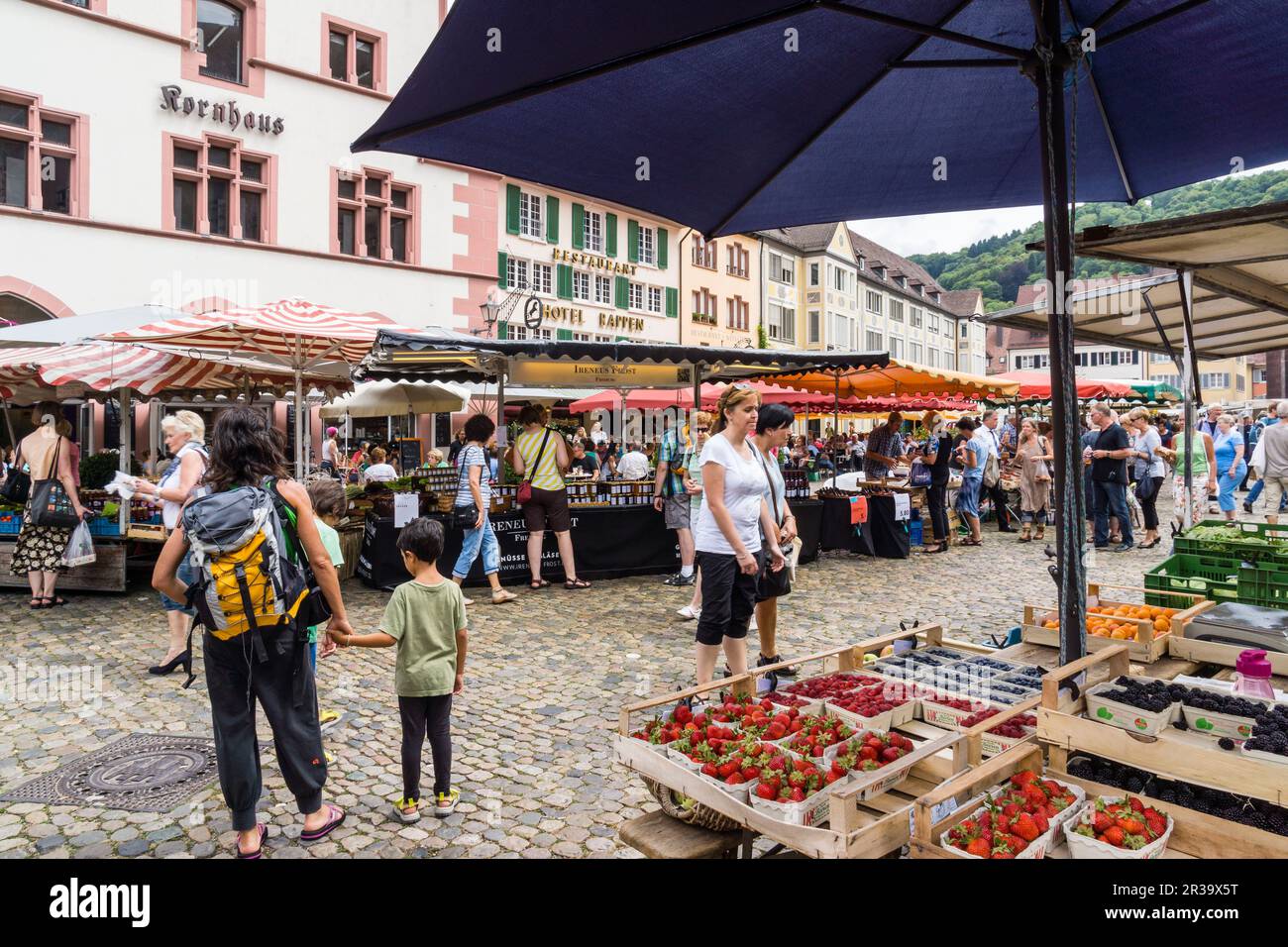 mercado al aire libre, Münsterplattz, Friburgo de Brisgovia, Germany, Europe. Stock Photo