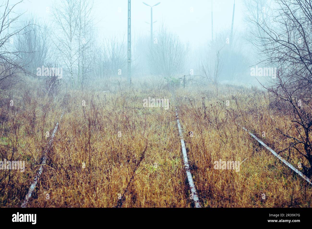 Abandoned railroad line rails hi-res stock photography and images - Alamy
