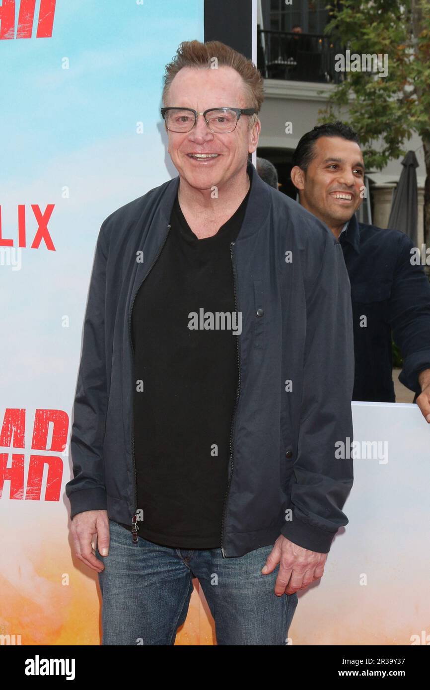 LOS ANGELES MAY 22 Tom Arnold at the FUBAR TV Series Premiere