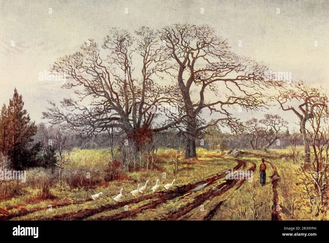 Early Spring, near Victoria, British Columbia watercolor by Thomas Mower Martin from the book ' Canada ' by Wilfred Campbell,  Published in 1907 by Adam and Charles Black in London Stock Photo