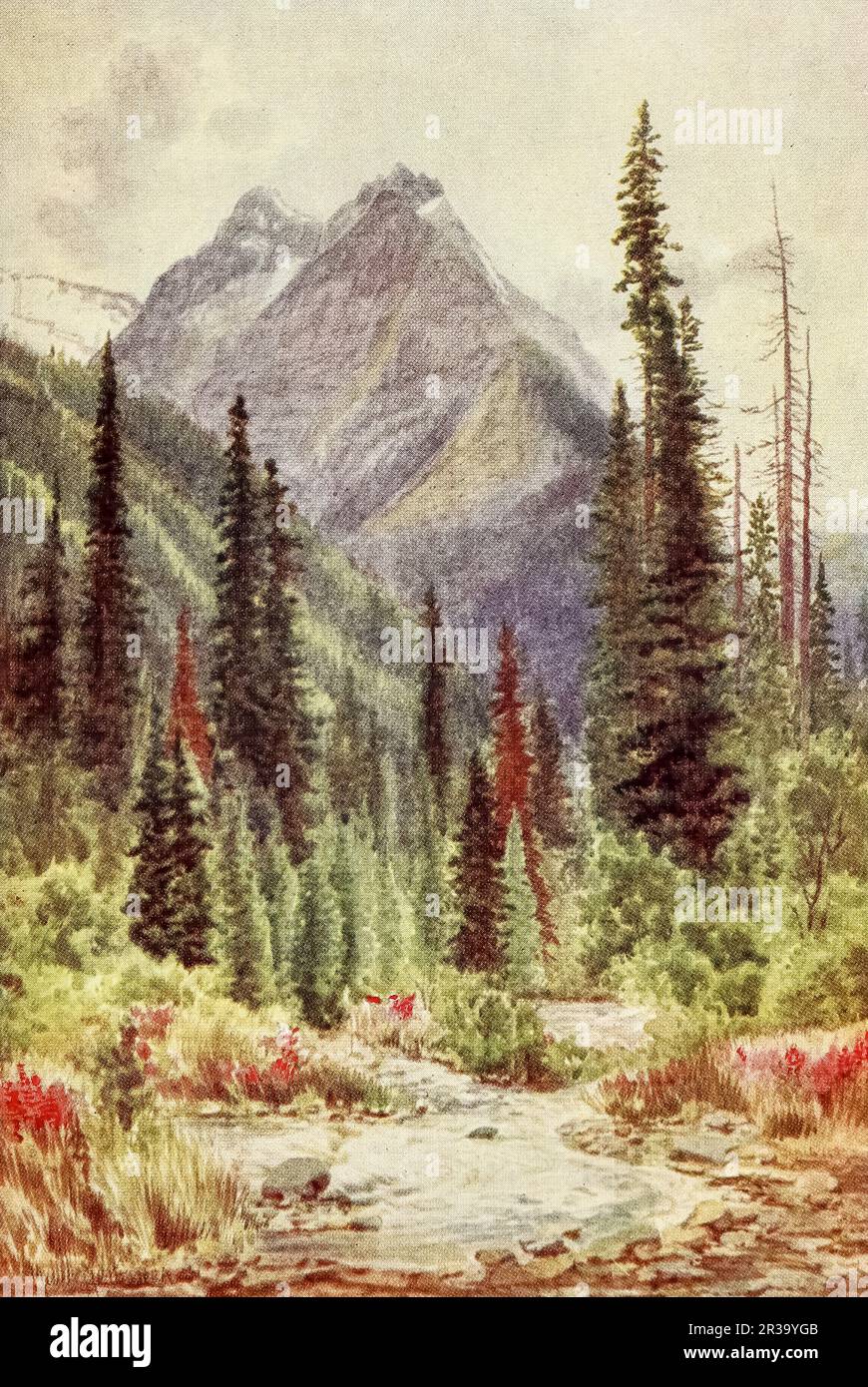 Ross Peak, Selkirk Mountains, British Columbia watercolor by Thomas Mower Martin from the book ' Canada ' by Wilfred Campbell,  Published in 1907 by Adam and Charles Black in London Stock Photo